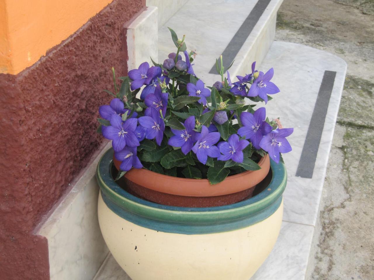Montagne Rocciose Bed & Breakfast Frascineto Dış mekan fotoğraf